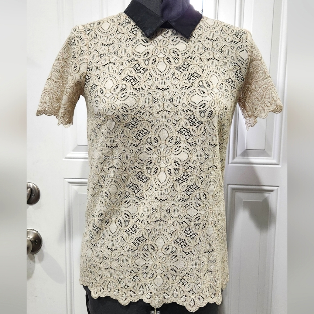 Madewell Black Collared Cream Lace Blouse Women's Size Small